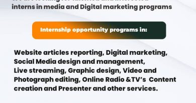 Professional internship opportunities in Media at DOM AGENCY Ltd